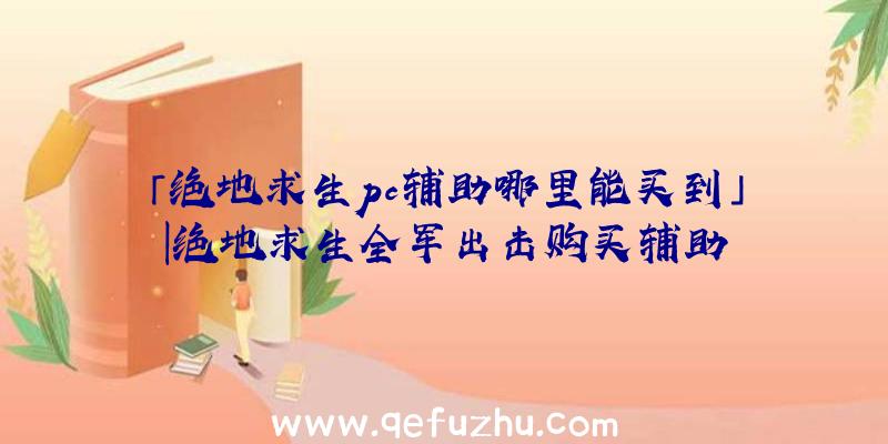 「绝地求生pc辅助哪里能买到」|绝地求生全军出击购买辅助